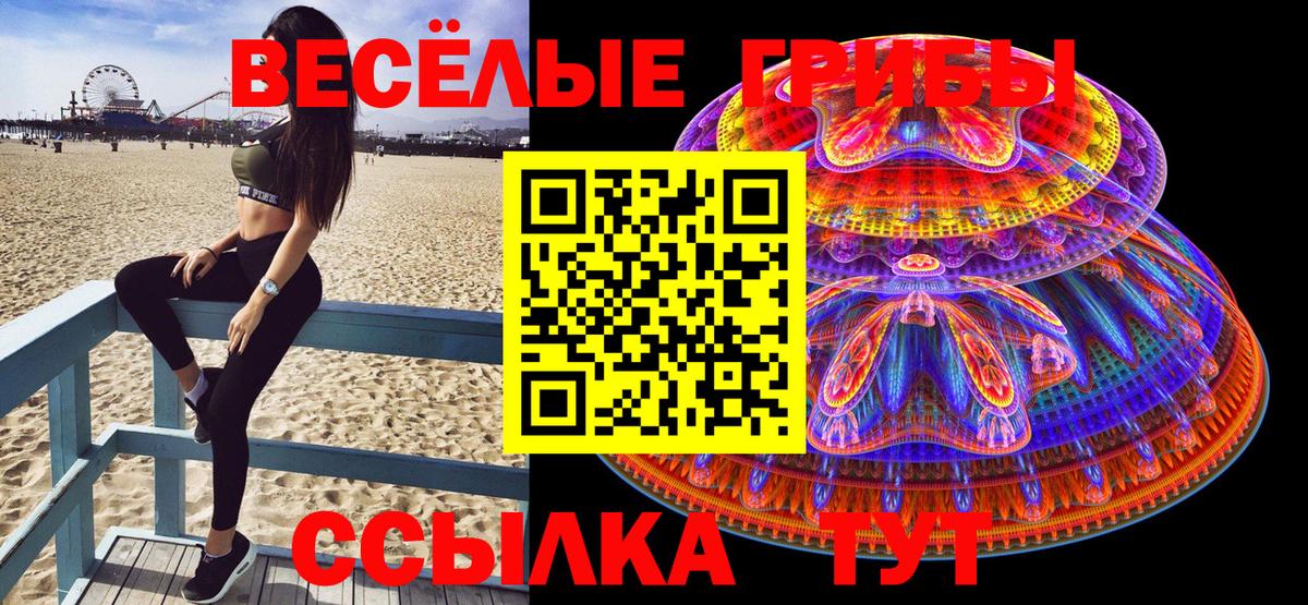 Галлюциногенные грибы Magic Shrooms Майкоп